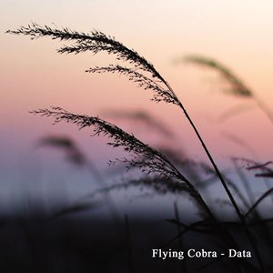 Data