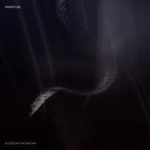 Algorithm The Rhythm