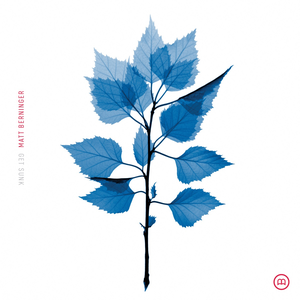 Get Sunk (Album) - Matt Berninger