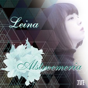 Alstroemeria - Single