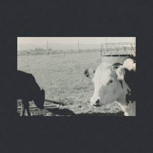 Water - EP
