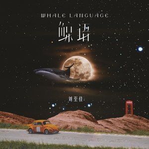 鲸语 - Single