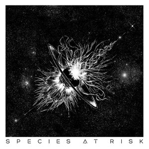 Avatar for Species at Risk