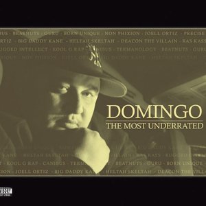 Avatar for Domingo featuring PackFM, Slug & Brother Ali