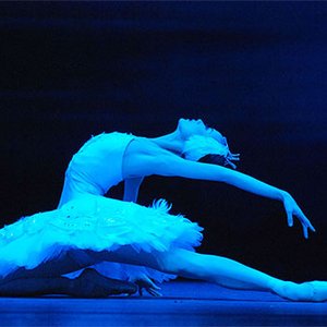 Avatar de Tchaikovsky: Swan Lake