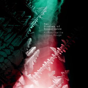 Two Stories of Resemblance