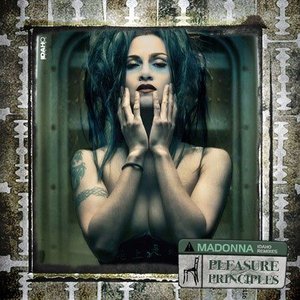 “Pleasure Principles”的封面