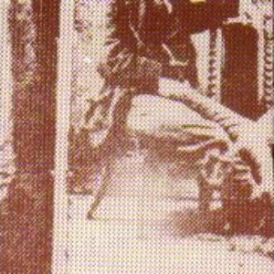 marcel van der zwet 的头像