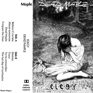 Elegy