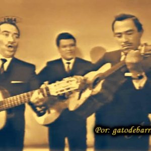 Avatar for Los Jaibos