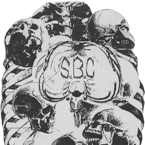 Avatar for S.B.C.