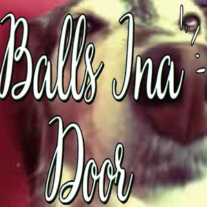 Balls Ina Door