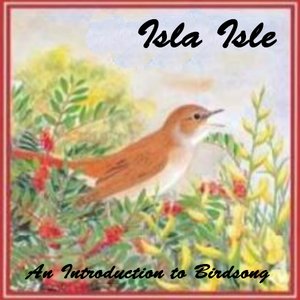 An Introduction to Birdsong