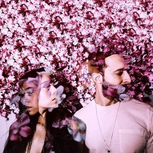 Bloom