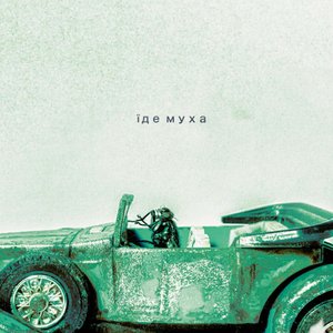 їде муха