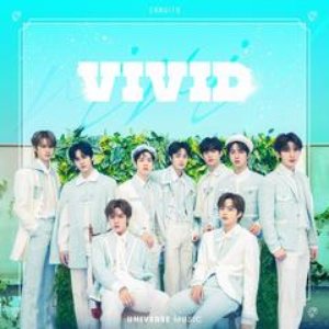 VIVID - Single