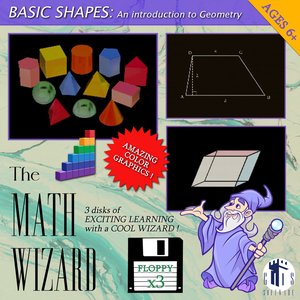 “The Math Wizard”的封面