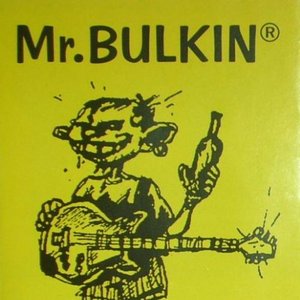 Mr. Bulkin のアバター