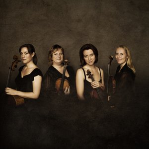 Vertavo String Quartet 的头像