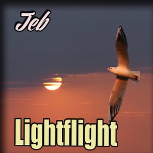 Lightflight