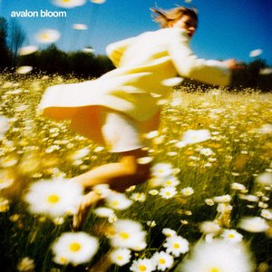 Avalon Bloom