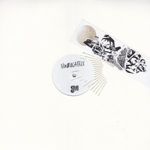 “Hume/Unborn Vectors 12"”的封面