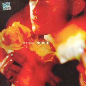 Never - Single