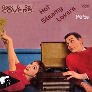 Rock & Roll Covers - Hot Steamy Lovers, Vol. 5