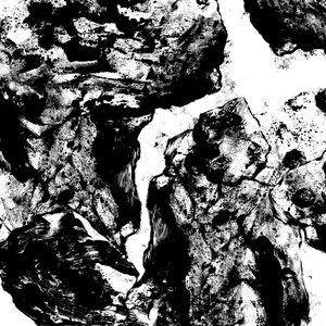 Aesthetics of Disappearance