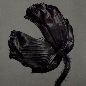 Pet Shop Boys - _Einzelst�cke: E-Mail - Zortam Music