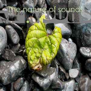 The nature of sounds