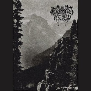 Baltic Weald 的头像