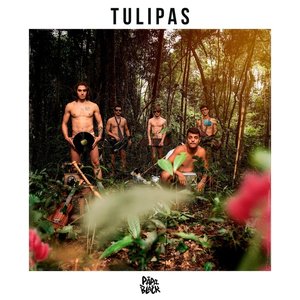 Tulipas