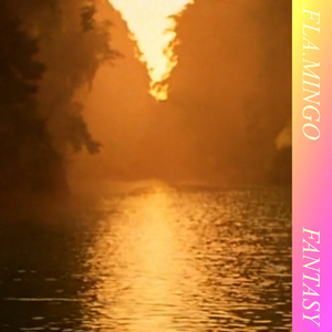 Fantasy cover