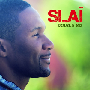 Double six cover