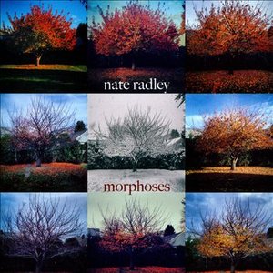 Morphoses