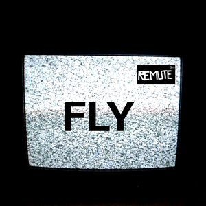 Fly