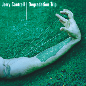 Degradation Trip cover