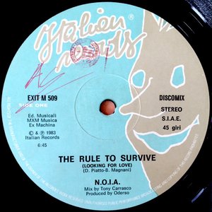 The Rule To Survive (Looking For Love)