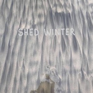 Shed Winter