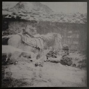 Live In Japan - 2006