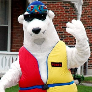 Avatar for Discobear