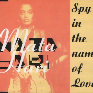 Spy In The Name Of Love