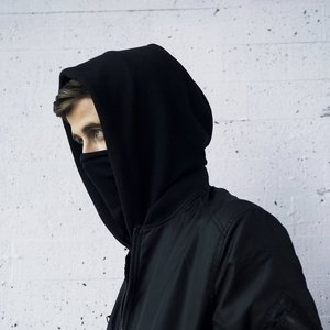 Avatar for Alan Walker/Noah Cyrus/Digital Farm Animals/Juliander