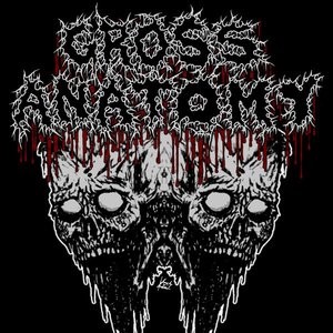 Gross Anatomy için avatar