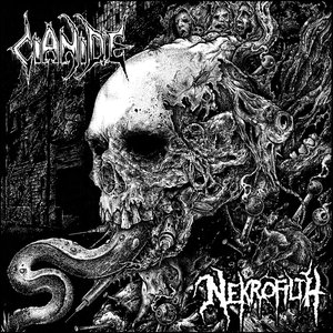 Cianide / Nekrofilth