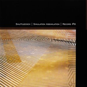 Simulation Assimilation