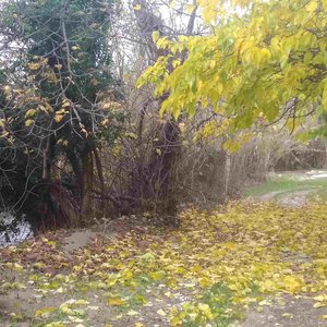 Aviser l'Abysse entre les Mondes