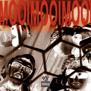 MooiMooiMooi