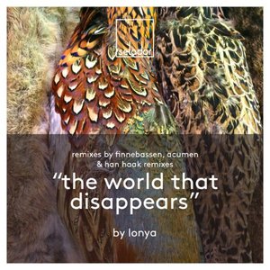 The World That Disappears